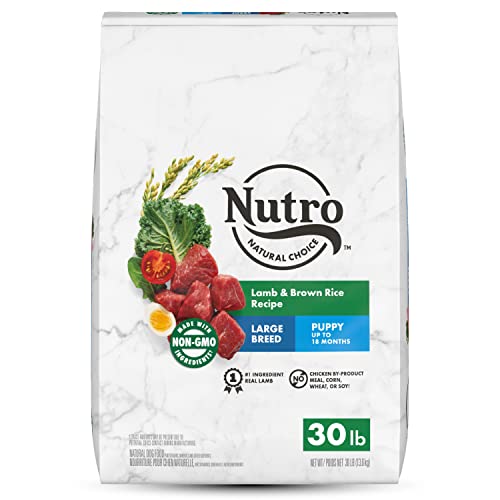 NUTRO NATURAL CHOICE Large Breed Puppy Dry Dog Food, Lamb & Brown Rice Recipe Dog Kibble, 30 lb. Bag