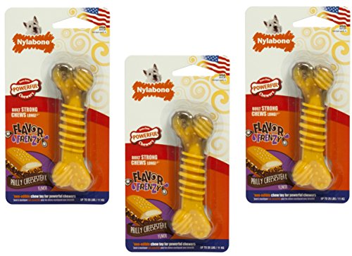 Nylabone (3 Pack) Flavor Frenzy Dura Chew Cheesesteak Flavored Bone Dog Chew Toys - Size Regular