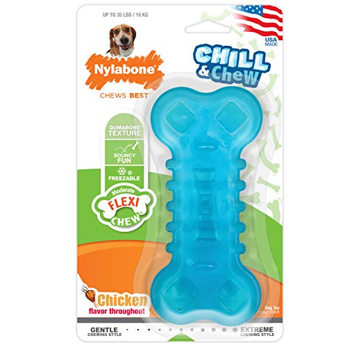 Nylabone Dog Moderate Chill & Chew Toy Chicken Medium/Wolf (1 Count) for small dogs