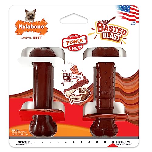 Nylabone Power Chew Basted Blast Dual Flavored Dog Chew Toys for Aggressive Chewers - Durable Dog Bones with 2 Layers of Flavor - Bacon and Steak Flavor, X-Small/Petite (2 Count)