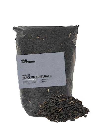 Old Potters Wildlife Black Oil Sunflower Seeds, 6 lbs for Birds and Wildlife, USA Grown Non-GMO.