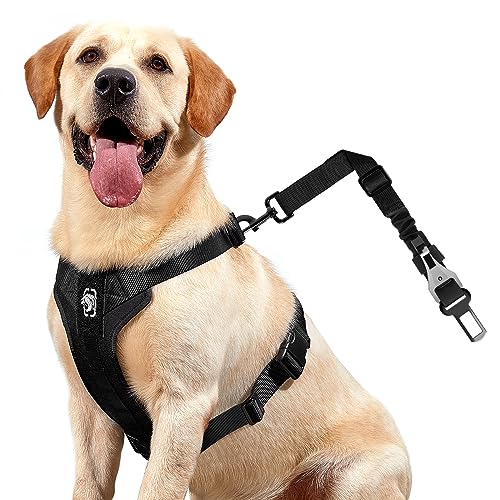 OneTigris Dog Safety Vest Harness, REX Car Use Dog Harness Adjustable Pet Harness with Leash for Medium Large Dogs(Black,L)