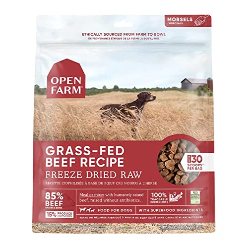 Open Farm Freeze Dried Raw Dog Food, Humanely Raised Meat Recipe with Non-GMO Superfoods and No Artificial Flavors or Preservatives (3.5 Ounce (Pack of 1), Grass Fed Beef Recipe)