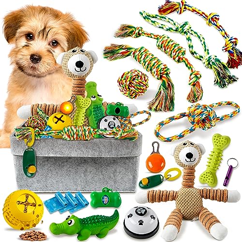 OSORD Puppy Chew Toys for Teething - 20Pcs Puppy Toys Dog Toothbrush Chew Toys with Bin, Interactive Dog Rope Toys Squeaky Toys for Small Medium Breed, Dog Training Tools Puppy Essentials