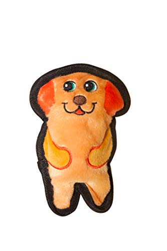 Outward Hound Invincibles Mini Dog Plush Dog Toy, XS