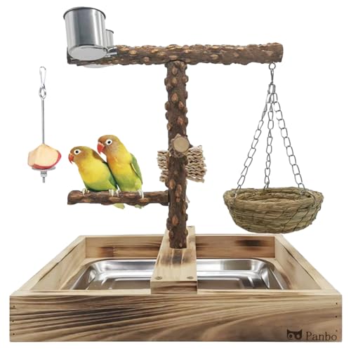 Panbo Bird Playground, Natural Wood Bird Perch Stand with Food Holder, Cage Toy – Trims Nails and Beak – Safe for Cockatiel, Caique, Budgerigar, Conure, Lovebirds, Senegal, etc. – Basic