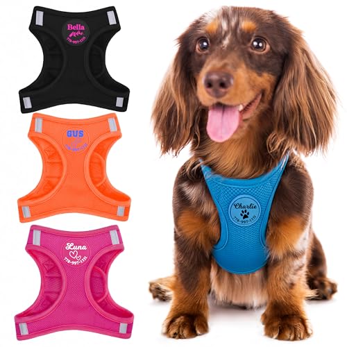 PAWBLEFY Personalized Dog Harness - for Extra-Small Small Medium Puppy Dogs Harness,Reflective Step in Harness Customized with Name and Phone Number in Black, Blue, Orange and Pink