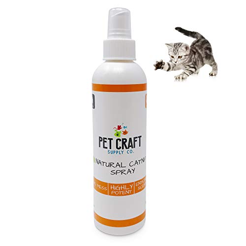 Pet Craft Supply Premium Maximum Potent All Natural Catnip for Cats USA Grown & Harvested 8 oz Value Spray Bottle Great for Training Redirecting Bad Behaviors 8oz