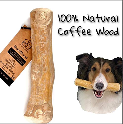 Pet Full House WoofWood Dog chew Sticks, Safe, Natural & Healthy chew Toys, Real Coffee Wood, Long Lasting, Durable chewable Stick and Toy, Aggressive chewers for Dogs, Dog chew Bones, (Large)