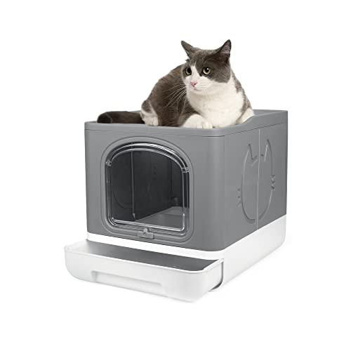 Best Litter Box Reddit 2023 - Vet Ranch - We Love Pets