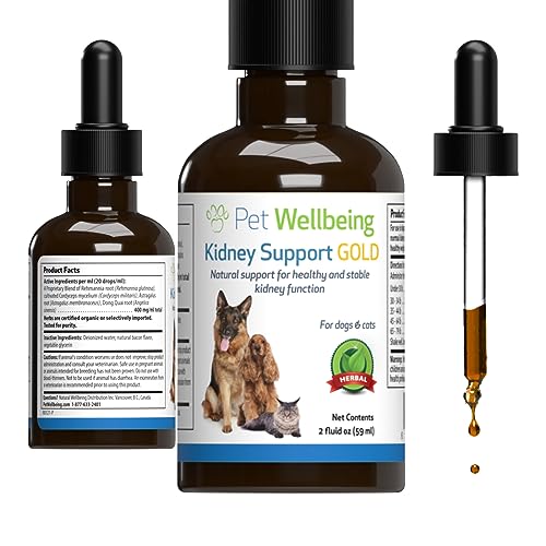 Pet Wellbeing Kidney Support Gold for Cats - Vet-Formulated - Supports Healthy Kidney Function in Cats - Natural Herbal Supplement 2 oz (59 ml)