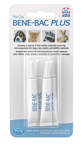 PetAg Bene-Bac® Plus Pet Gel FOS Prebiotic and Probiotic, 4 Pk