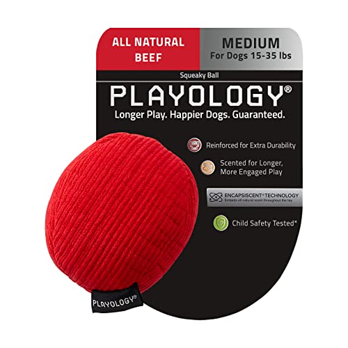 Playology Plush - Squeaky Ball - Medium - Engaging All-Natural Beef Scent