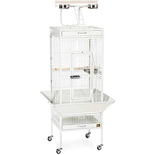 Prevue Hendryx 3151C Pet Products Wrought Iron Select Bird Cage, Chalk White,18'' x 18'' x 57''