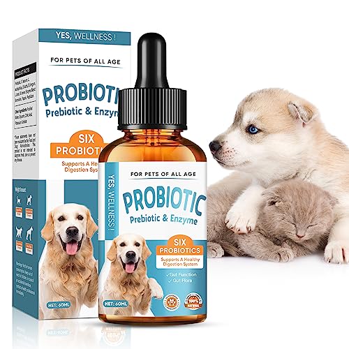 Probiotic for Dogs, Probiotic Drops for Dogs with Digestive Enzymes, Dog Probiotics for Yeast, Itchy Skin and Itchy Ears, Digestive Health Support, Relieve Diarrhea and Indigestion