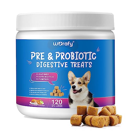 Probiotics for Dogs, Pre and Probiotics for Dog Digestive Health, Dog Probiotics and Digestive Enzymes, Gut Health for Dogs Immune Skin Health Dog Probiotics Supports - All Ages All Breeds