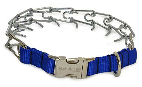 Ray Allen Nylon Quick-Release Basic Training Collar (Blue)