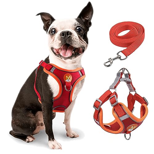 rennaio Dog Harness No Pull, Adjustable Puppy Harness with 2 Leash Clips, Ultra Comfort Padded Dog Vest Harness, Reflective Dog Harness and Leash Set for Small and Medium Dogs (Red, M)