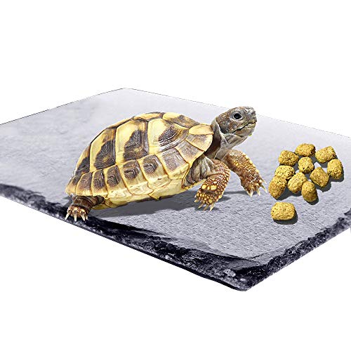 Reptile Basking Platform Tortoise Rock Plate Turtle Bathing Area Feeding Food Dish Resting Terrace