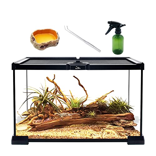 Reptile Growth Reptile Terrarium, 12" x 8"x 6.5" Reptile Tank with Top Sliding Door Screen Ventilation，for Tarantula，Hermit Crab，Jumping Spider，Iguana，Tortoise，Leopard Gecko，Frog，Bearded Dragon，Snake