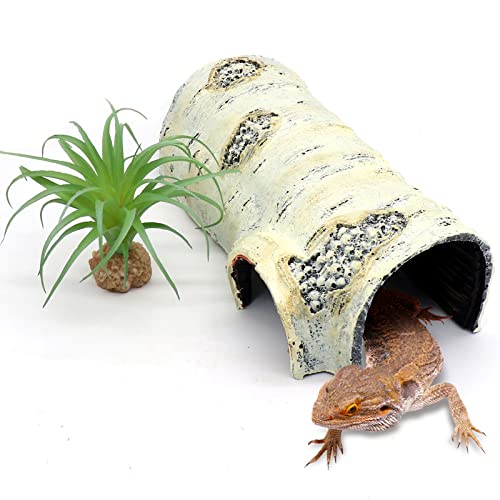 Reptile Hides and Caves Birch Tree Bark Trunk Habitats Decor Aquarium Decoration Wood for Lizard Geckos Snake Spiders Frogs Turtle (Large)