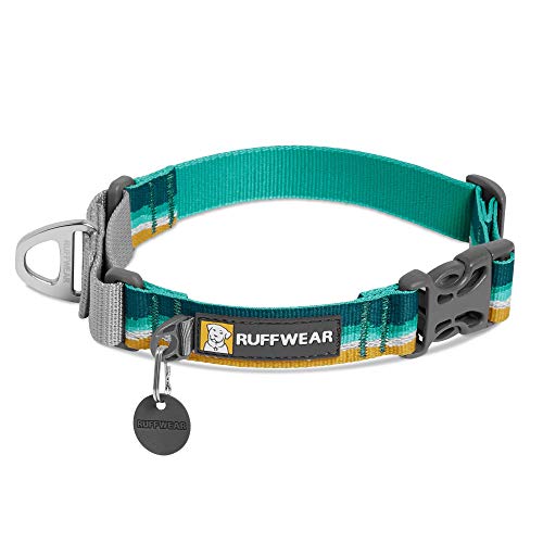 Ruffwear, Web Reaction Dog Collar, Martingale Collar for On-Leash Walking, Seafoam, 11"-14"