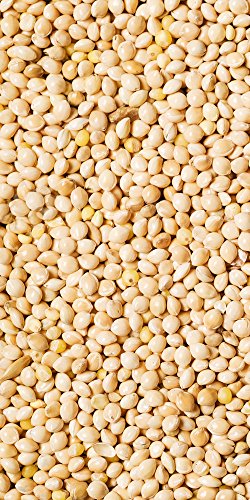 Scarlett White Millet – 50 lb Bag