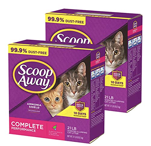 Scoop Away Multi Cat Scented Litter, 42 lb.