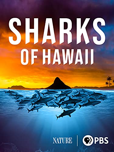 Sharks of Hawaii