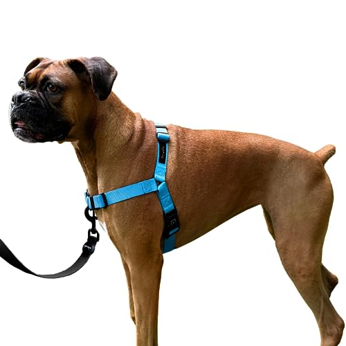 ShawnCo Dream Walk No-Pull Dog Harness- Adjustable, Comfortable, Easy to Use Pet Halter to Help Stop Pulling for Small, Medium and Large Dogs (Oceanic Blue, L)