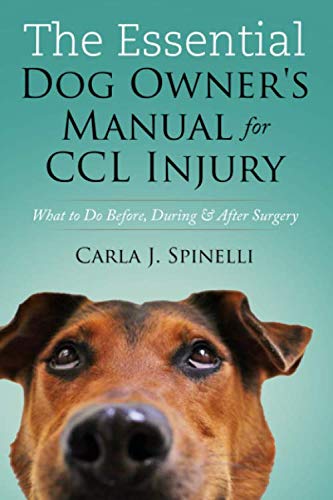 The Essential Dog Owner's Manual for CCL Injury: What to Do Before, During & After Surgery