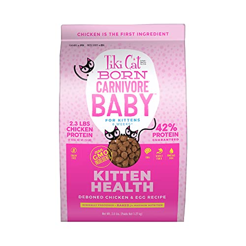 Tiki Cat Born Carnivore Baby, High-Protein and Grain-Free, Dry Cat Food for Kittens 6 Weeks+, 2.8 lbs. Bag