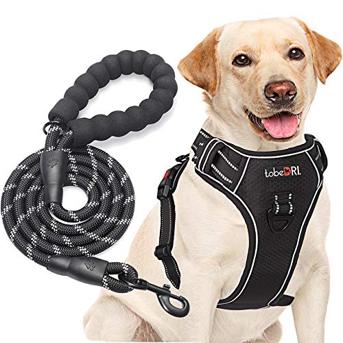 tobeDRI No Pull Dog Harness Adjustable Reflective Oxford Easy Control Medium Large Dog Harness with A Free Heavy Duty 5ft Dog Leash (M (Neck: 14.5"-20.5", Chest: 22"-28"), Black Harness+Leash)