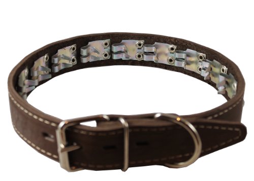 Training Pinch and Genuine Leather Studded Dog Collar Fits 16"-19" Neck Brown 24"x1" Wide