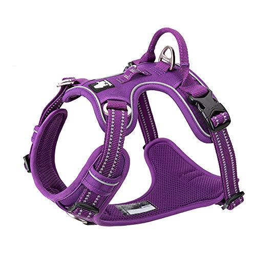 TRUE LOVE Dog Harness No Pull Nylon Reflective Pet Harness Adjustable Comfortable Control Step-in Brilliant Colors Truelove TLH56512 XS