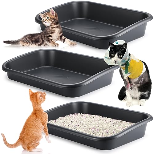 Low Litter Box For Senior Cats 2023 Vet Ranch We Love Pets