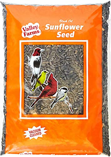 Black Sunflower Seed Bird Food 2024 - Vet Ranch - We Love Pets