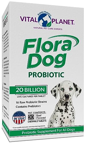 Vital Planet - Flora Dog Chewable Tablets Probiotic Supplement with 20 Billion Cultures and 10 Strains, High Potency Immune and Digestive Support Probiotics for Dogs, 30 Beef Flavored Chewable Tablets