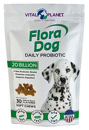 Vital Planet - Flora Dog Soft Chews Probiotic Supplement with 20 Billion Cultures and 11 Strains, Immune and Digestive Support Chewable Probiotics for Dogs, 30 Natural Bacon Flavored Soft Chews