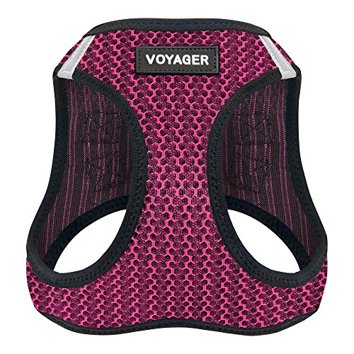 Voyager Step-in Air Dog Harness - All Weather Mesh Step in Vest Harness for Small and Medium Dogs by Best Pet Supplies - Harness (Fuchsia 2-Tone), Large