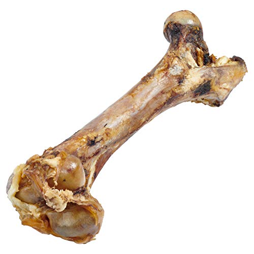 Wally Wags Cow Femur Bone for Dogs | 1 Bone | Long Lasting Mammoth Dog Bones for Aggressive Chewers, Rawhide Free Healthy Dog Treat, Large Bones, Digestible Dog Chews & USDA/Certified