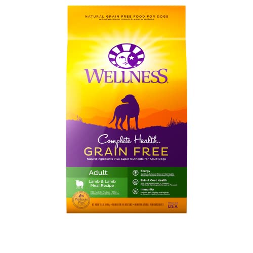 Wellness Complete Health Grain-Free Dry Dog Food, Natural Ingredients, Made in USA with Real Meat, For All Lifestages (Lamb, 24-Pound Bag)