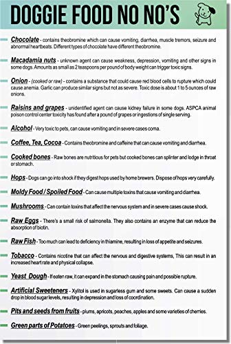 What Not to Feed Dogs Magnet for Your Kitchen- List of 30 Toxic Foods For Dogs- Helpful Puppy Supplies