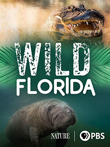 Wild Florida