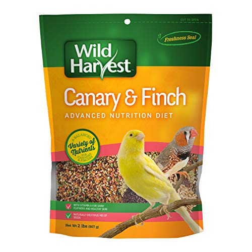 Wild Harvest B12492Q-001 Canary and Finch Food Blend, One Size, 2 Pound (Package May Vary)