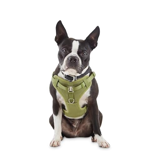 YOULY The Champion Olive Padded Step-in Dog Harness, Small