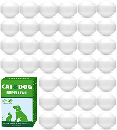 36 Pack Stray Cat Repellent Natural Peppermint Oil to Repel Cats and Dogs Outdoor Dog Repellent Feral Cat Deterrent, Keep Cat & Dogs Off Yard Lawn Garden Mulch & Flower Beds, Human & Pet Safe