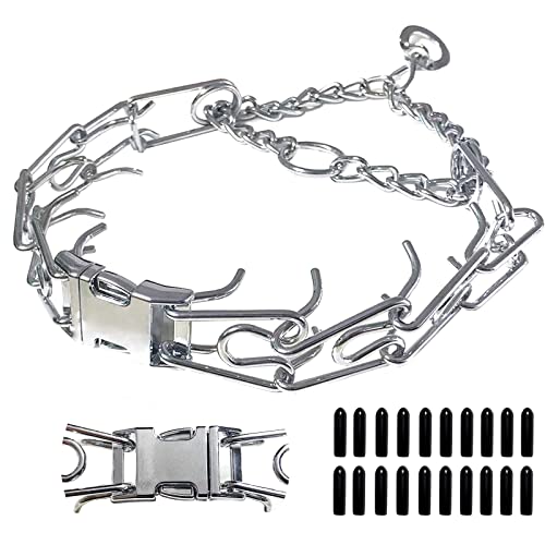 Adjustable Dog with Metal Buckle for Collars of Small, Medium and Large Dogs