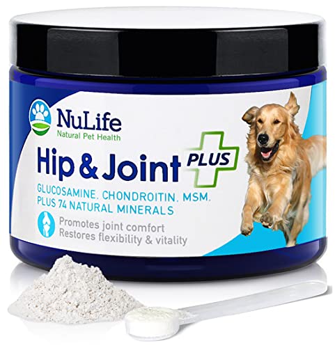 Advanced Glucosamine Powder for Dogs for Arthritis Pain Relief & Hip Dysplasia, Supports Joint Health & Reduces Inflammation with Glucosamine, Chondroitin, MSM & Coral Calcium, 6oz Powder