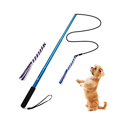 AMYESE Interactive Dog Toys - Extendable Flirt Pole with 2pcs Braided Rope Tugs for Dog Outdoor Entertainment, Train and Exercise